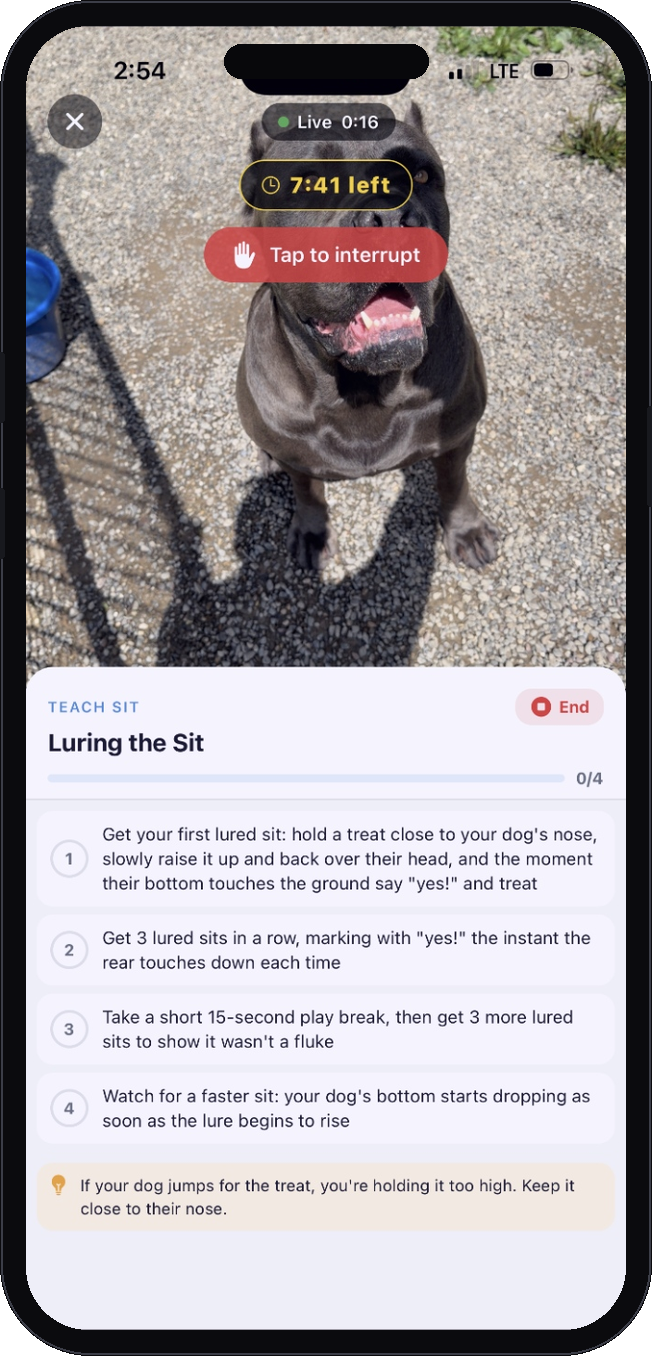 Live guided lesson with step checklist