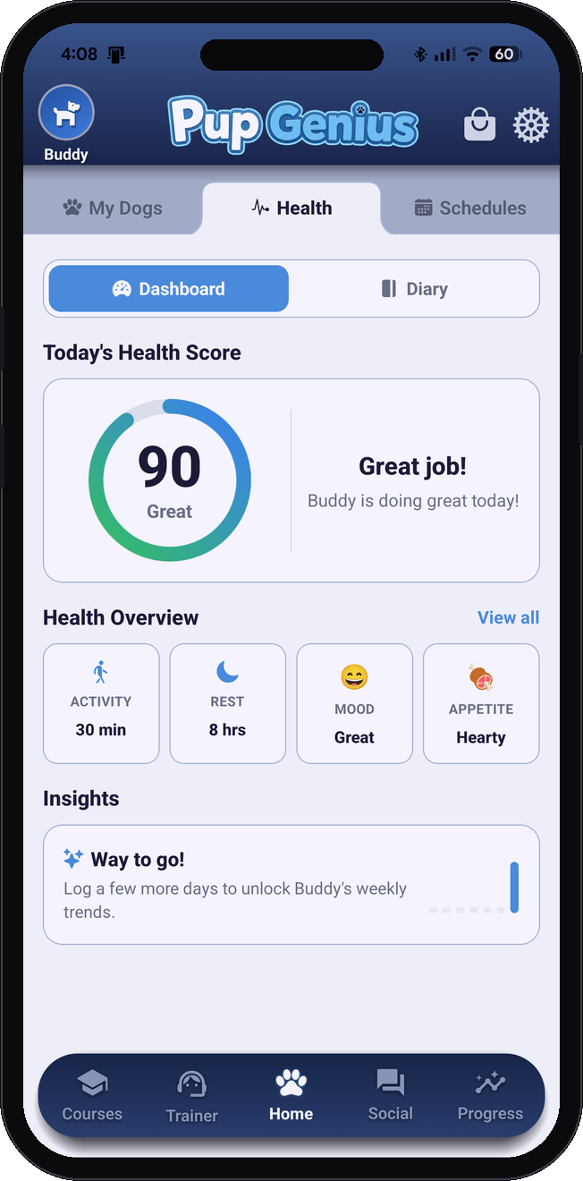 Health tracking dashboard