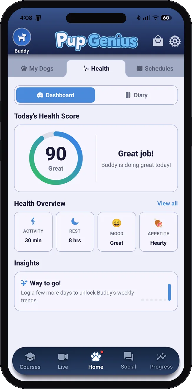 Health tracking dashboard