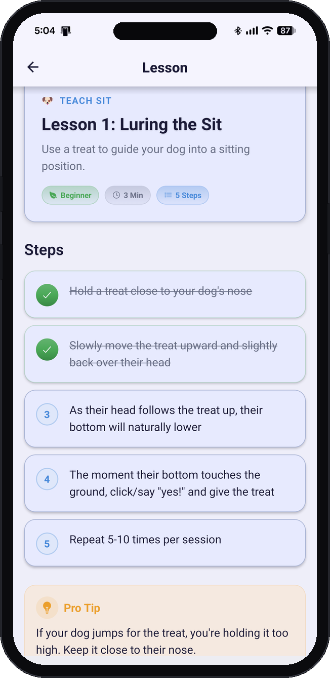 Self-guided lesson with step checklist